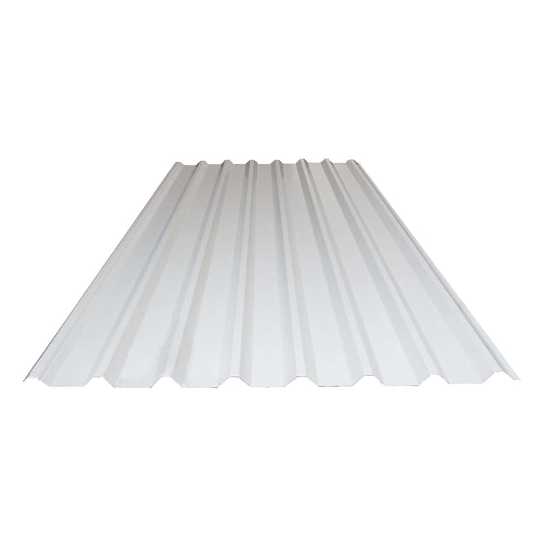 Lámina Pintro Rectangular 1.07 X 6.10 Mt C 24 R101