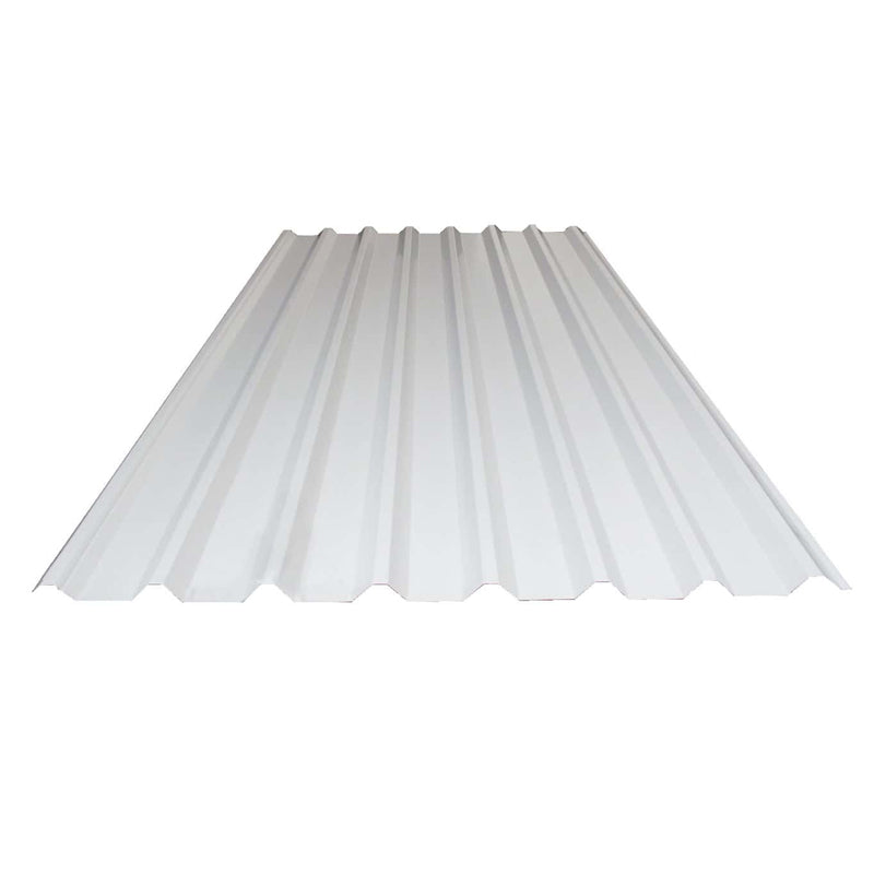 Lámina Pintro Rectangular 1.07 X 3.66 Mt C 26 R101